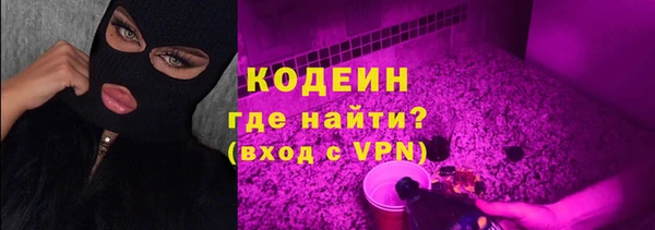 дживик Тайга