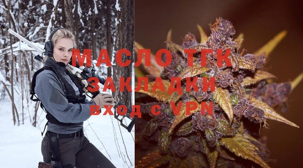дживик Тайга