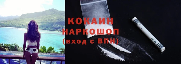 дживик Тайга