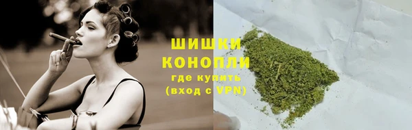 дживик Тайга