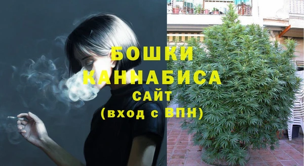 дживик Тайга