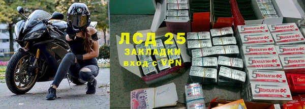 дживик Тайга