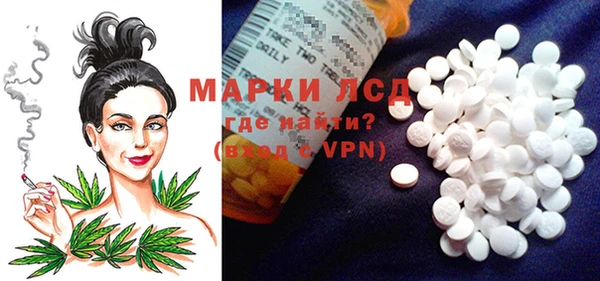 дживик Тайга