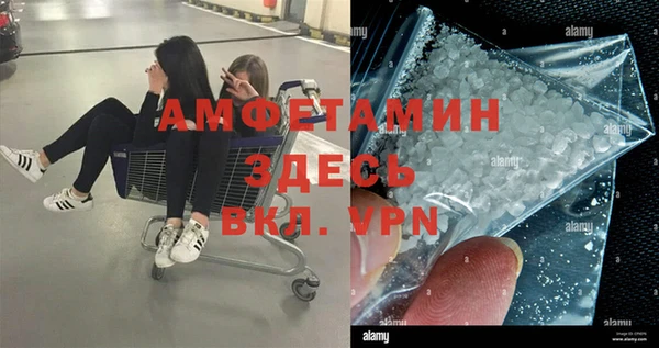 дживик Тайга