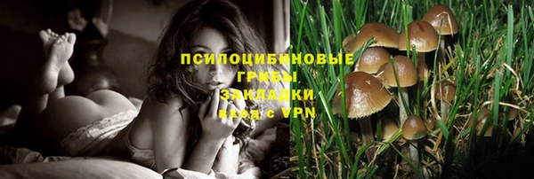 гашиш Сясьстрой